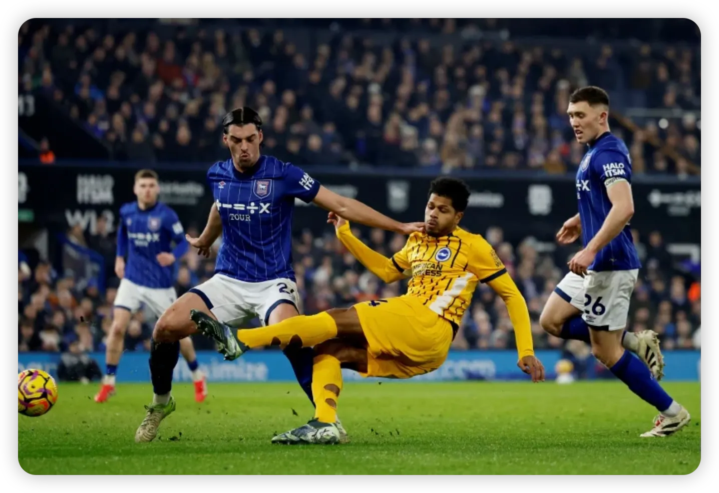 Seagulls Soar Again After Eight-Game Drought