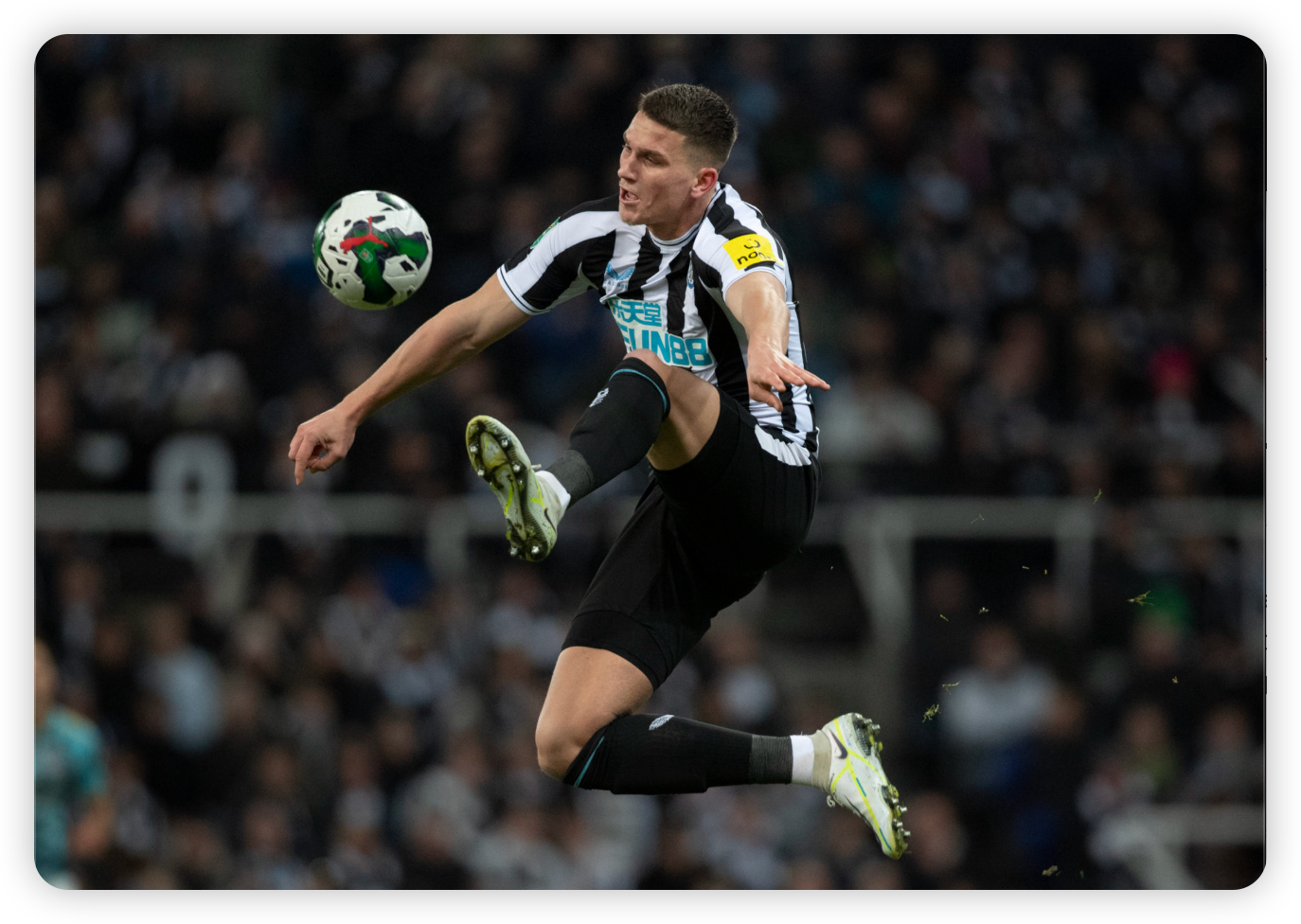 Pope Signing: A Masterstroke in Value