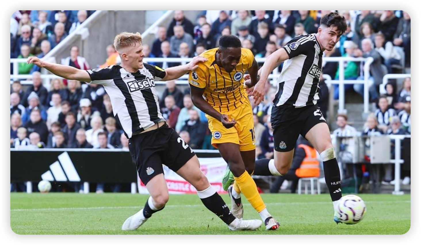 Wing Wizardry: Anthony Gordon vs Tariq Lamptey